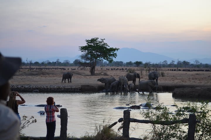 2 Days Safari- Morogoro - Mikumi national park image