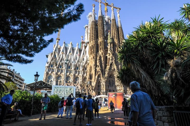 Skip the Line: Best of Barcelona Private Tour including Sagrada Familia image