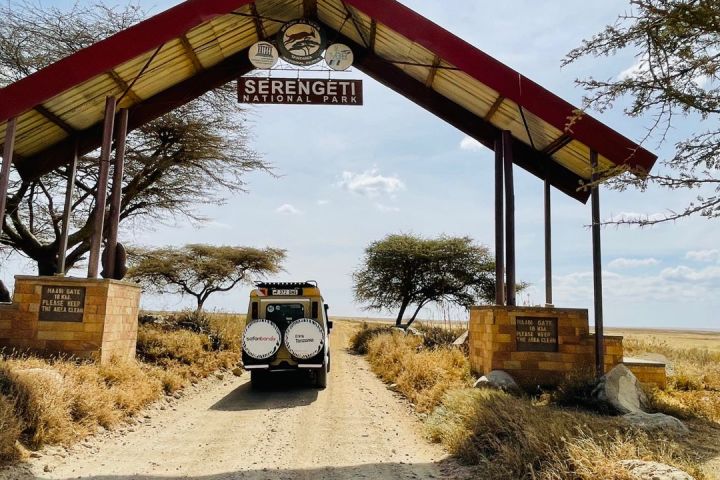 4 days Tanzania Safari Serengeti and Ngorongoro image