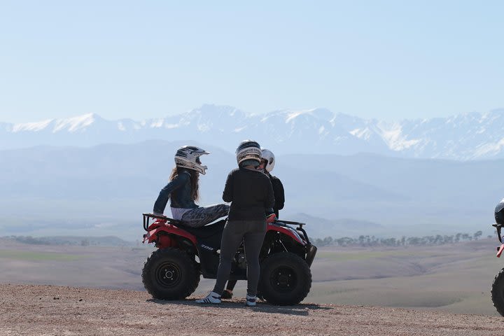 Half-day quad bike in the palmgrove & rock desert image