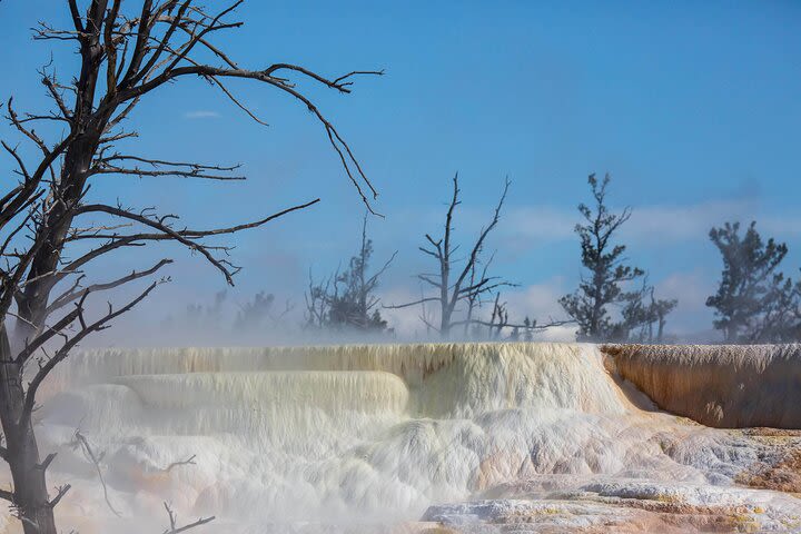 Private Full-Day Yellowstone Snowshoe Safari from Gardiner image