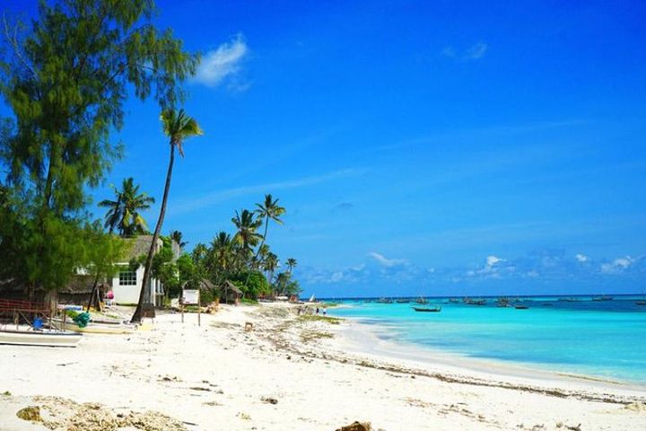 Nungwi Village & Sea Turtle Swimming Tour image