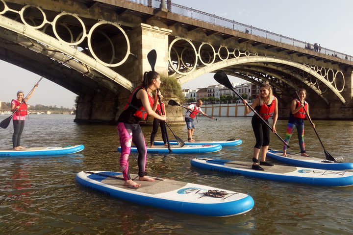 Seville Paddle Surf Sup in the Guadalquivir River  image