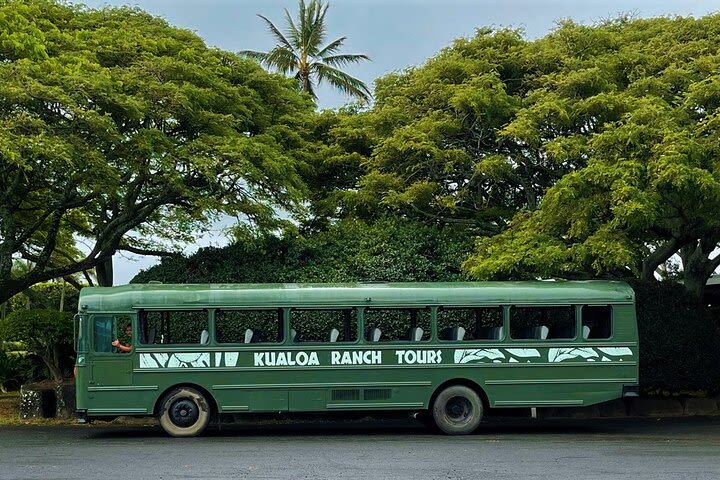 Kualoa Ranch: Hollywood Movie Sites Tour image