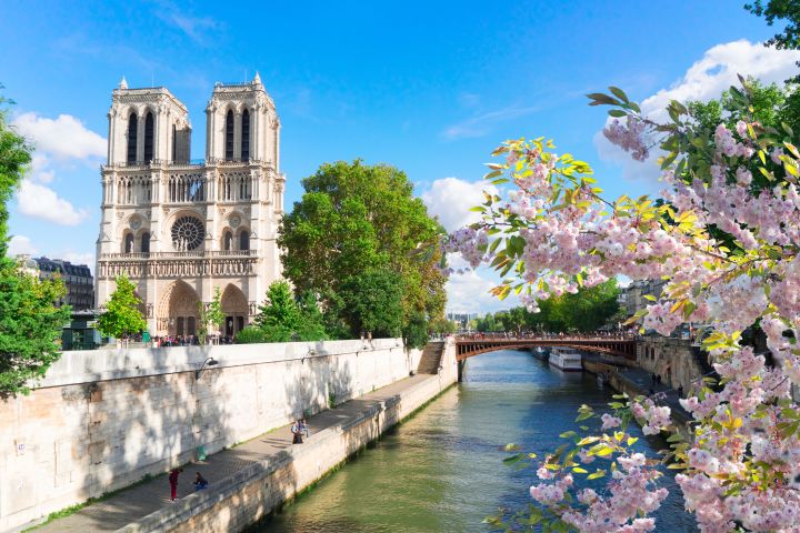 Cruise Excursion from Le Havre to Paris image