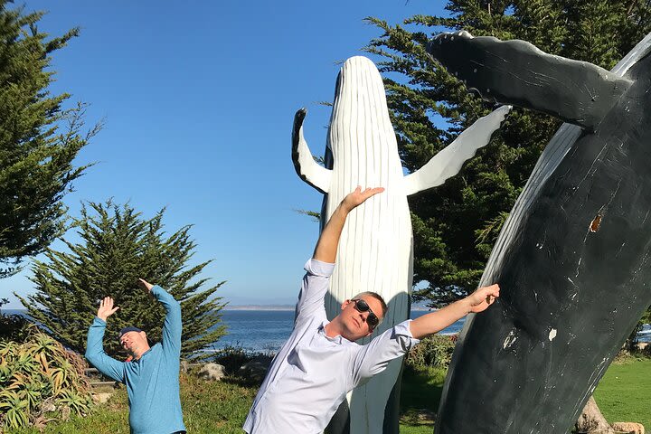 The Magical Monterey Scavenger Hunt  image