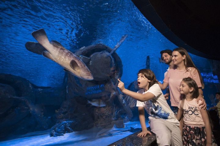 Antalya Aquarium & Wax Museum Tour image