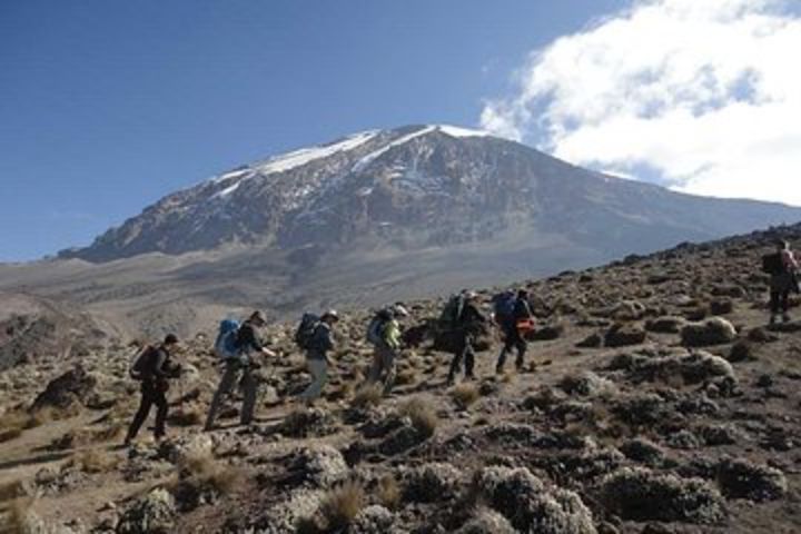 7 Day Kilimanjaro Trekking Tour + 2 nights hotel stay via Machame Route image