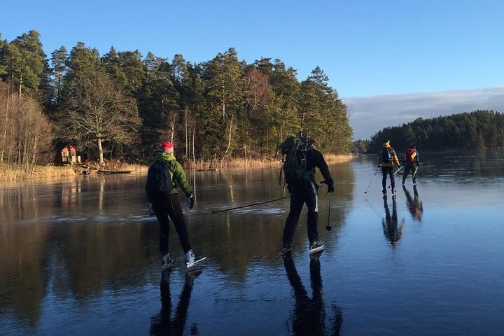 Ice Skating Small-Group in Lake Drevviken image