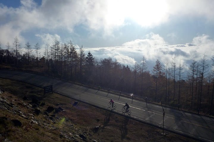 Mount Fuji Descent Bike Tour: Ride down the mountain! image