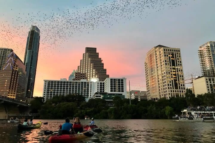 Congress Avenue Bat Bridge Kayak Tour in Austin image