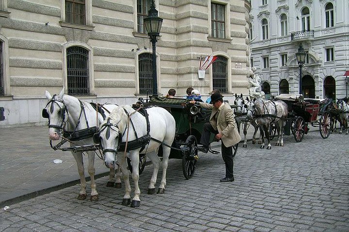 45 Minutes Trip--Carriage Ride by Fiaker Wien image