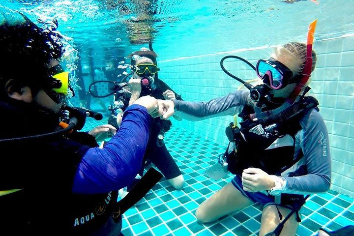 6-Week PADI Dive Divemaster in Koh Chang image