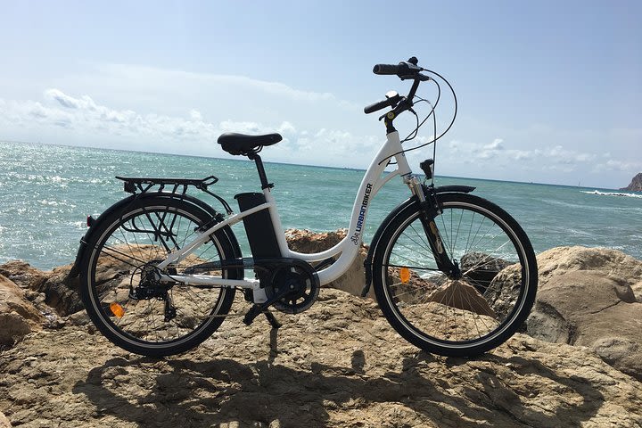 Electric Bikes Rental image