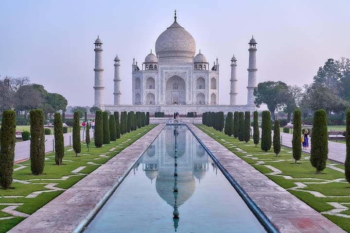 Private Taj Mahal with Chambal Safari Tour image