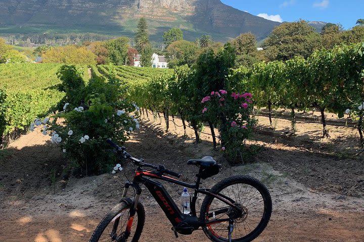 Constantia Valley and Winelands tour image