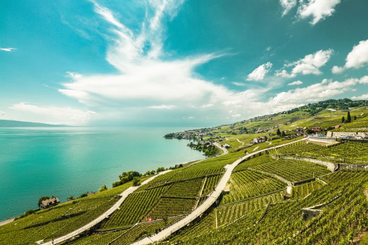 Vevey, Montreux & Chillon Castle Day Trip image