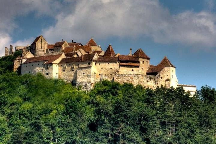 Day Private Tour From Bucharest-Bear Sanctuary, Rasnov Fortress and Brasov image