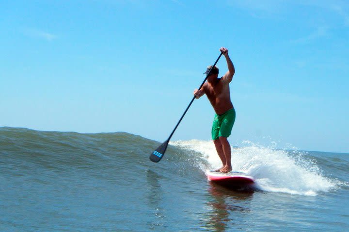 Stand Up Paddling Boarding Tour and Seaside Paella Lunch in Valencia image