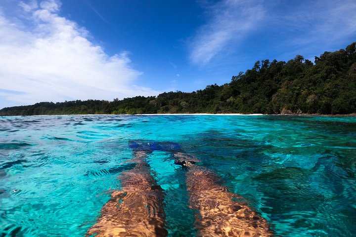 Snorkel in Koh Lanta, Thailand image