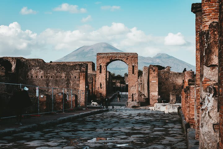 Pompeii Reserved Entrance Ticket & Audio Tour image