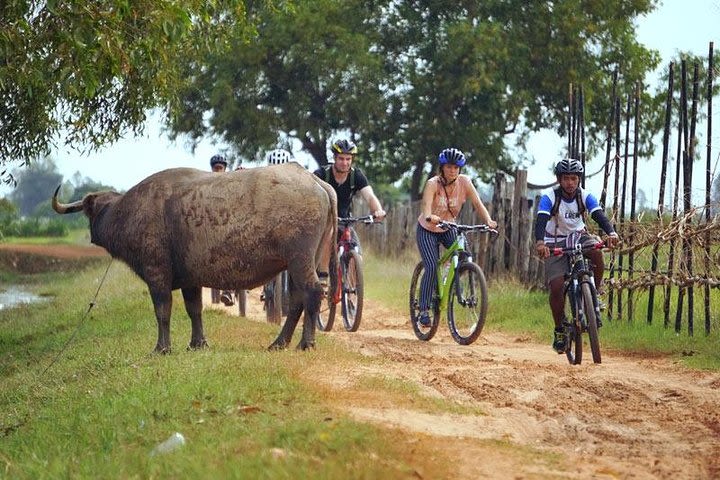 Bike Ride In Siem Reap Countryside image