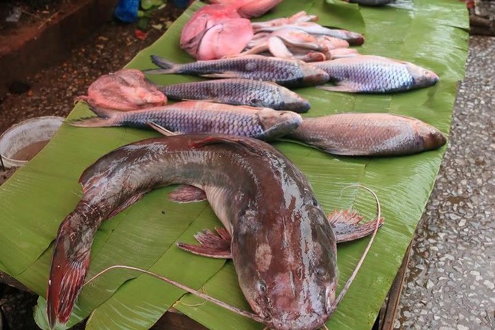 Full-Day Cooking Class with Luang Prabang City Tour and Lunch  image