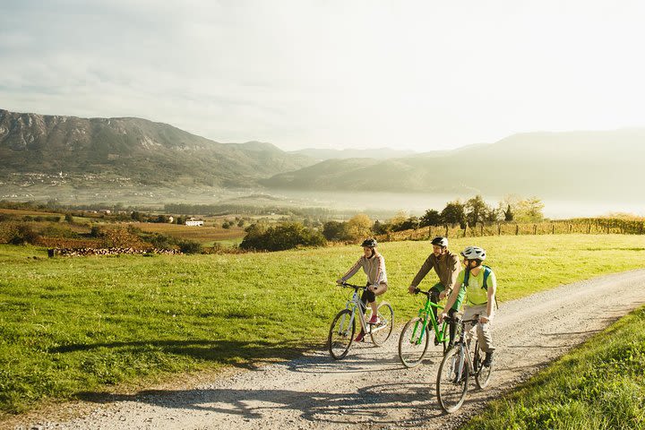 Bike and Wine in Vipava Valley image