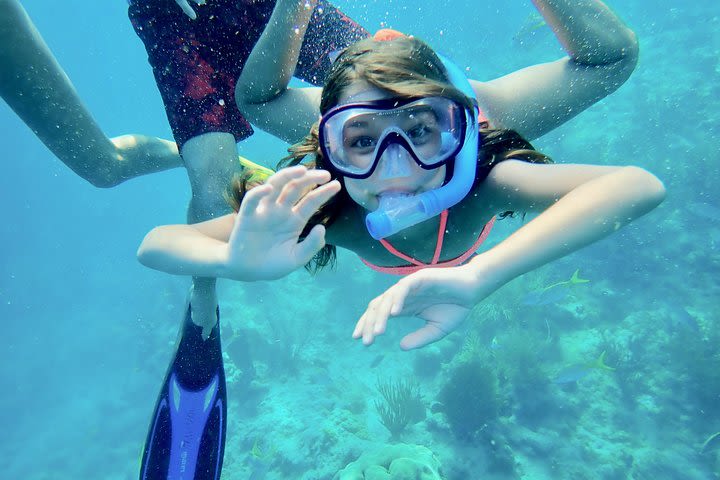 Private Looe Key Snorkel from Big Pine Key image