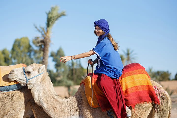 Camel Ride in Palm Groves with Tea Break image