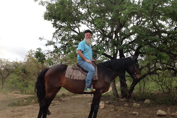 Horse Riding in Nelspruit image