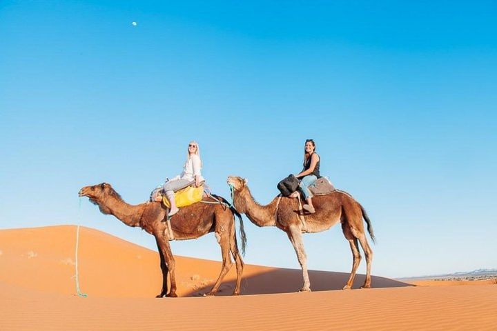 Camel Ride & overnight stay in Desert Camp Merzouga image