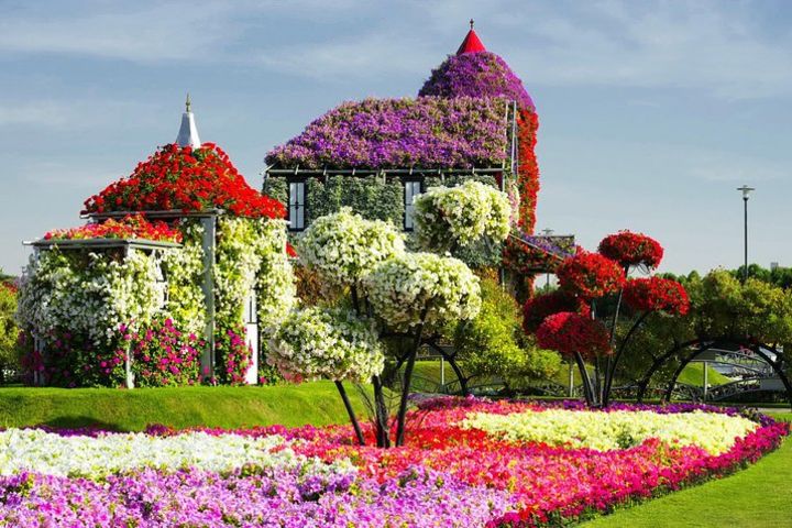 Miracle Garden and Global Village Dubai image