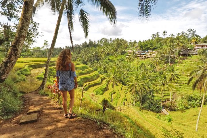 White Water Rafting Bali, Tegalalang Rice Terrace, and Jungle Swing image