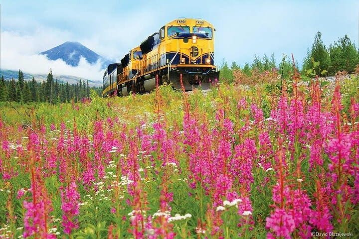 Alaska Railroad Denali to Fairbanks One Way image