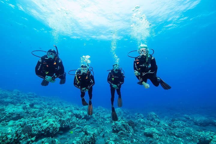 Discover Scuba Diving in San Bartolo image