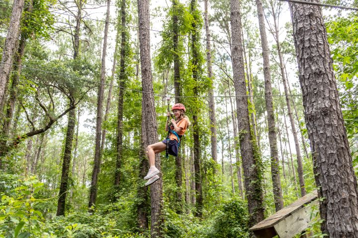 Charleston Adventure Forest Zip Line Tour - Charleston, SC image