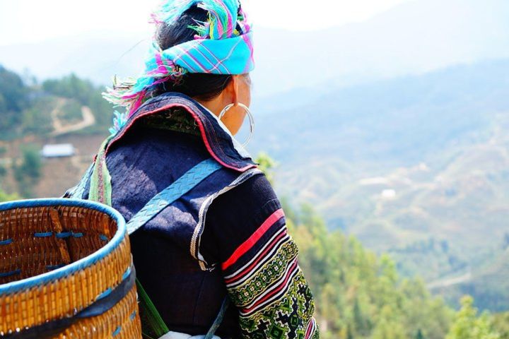 Sapa Mountain View Trek image