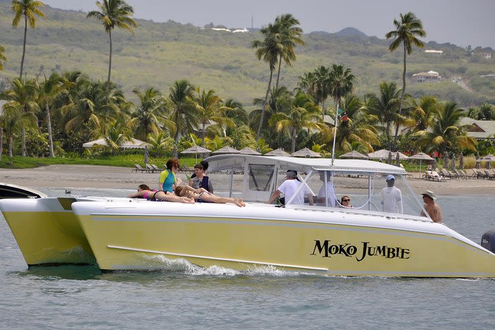 Private Power Catamaran Snorkel and Beach Experience image