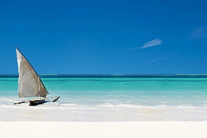 Nungwi Village & Sea Turtle Swim image