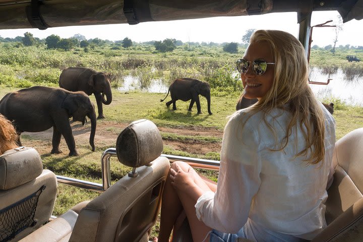 Private Tour: Udawalawe National Park Safari image