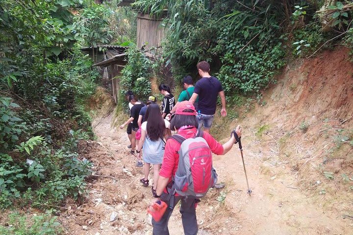 Combo”Trekking tour Sapa – Lan Ha Bay 5Day” image