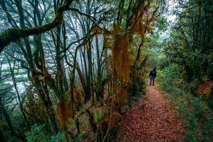 Sierra Juárez, Nature and History. image