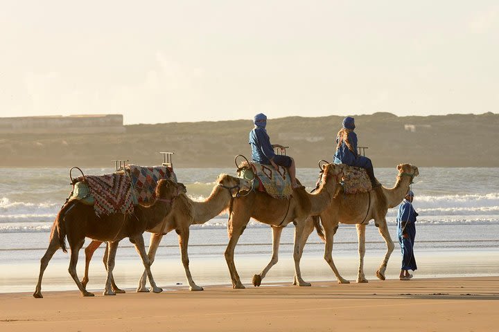 Camel Ride on the Beach of Essaouria image