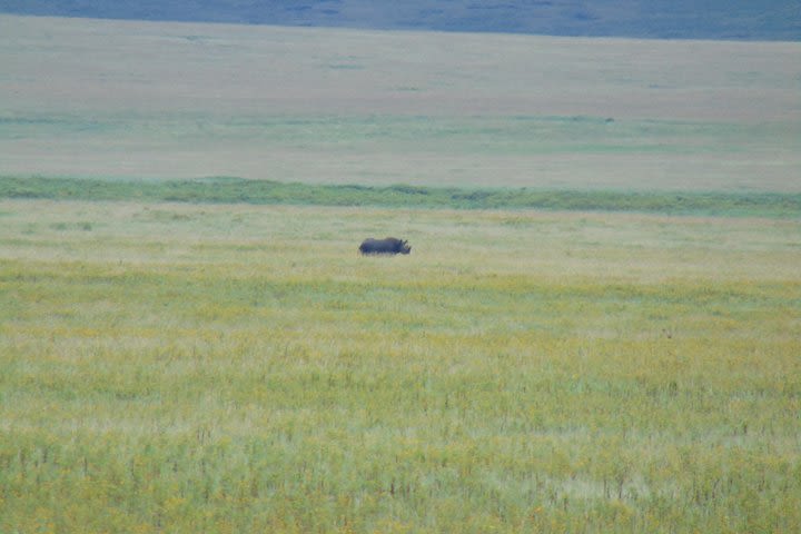 2 Day Safari to Lake Manyara and Ngorongoro Crater image