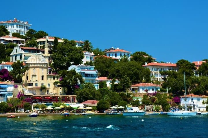 Istanbul Princes Islands Tour With Lunch image