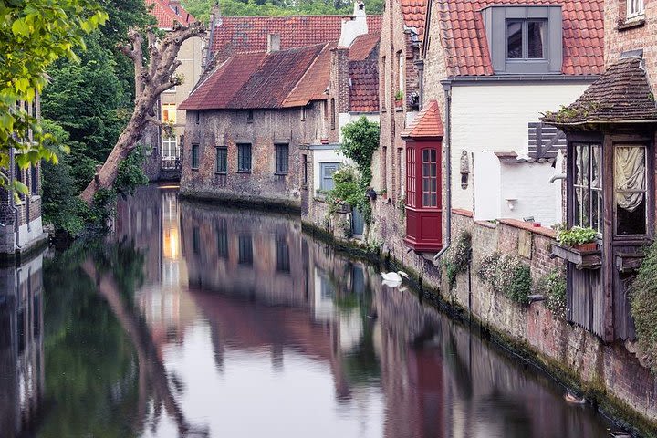 Bruges Like a Local: Customized Private Tour image