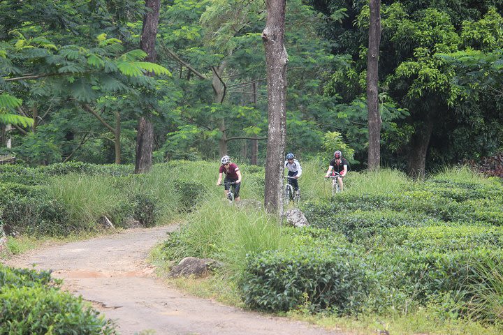 Cycling in Nuwera Eliya  image