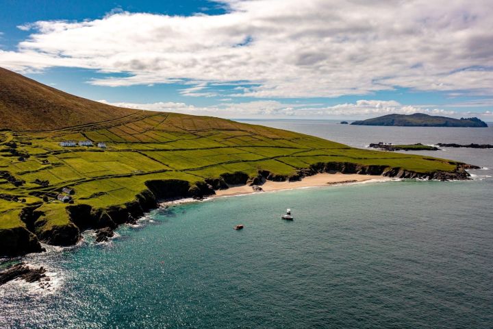 Dingle Dolphin Blasket Adventures image