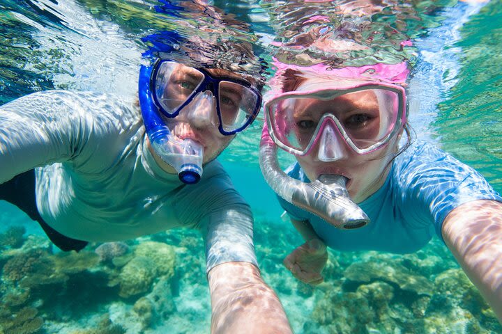 Snorkel in underwater museum MUSA  image